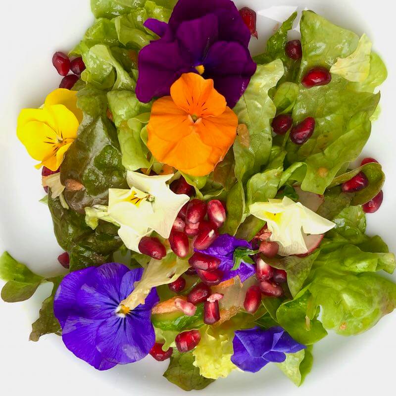 Frühlings-Salat mit Blüten